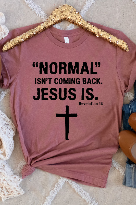 Normal Isn't Coming Back Jesus Is Shirt, Christian Jesus Shirt