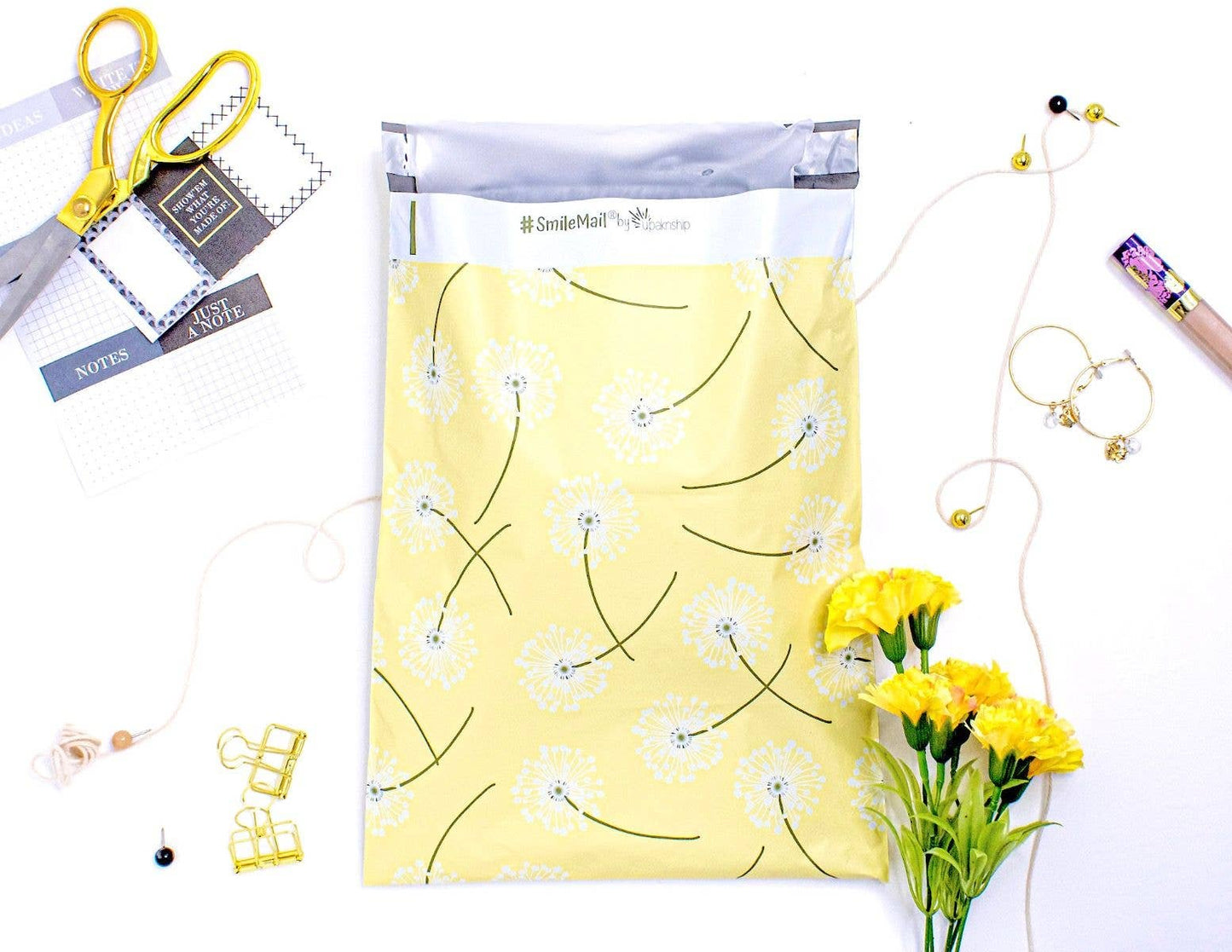 14x17" Dandelion Poly Mailers