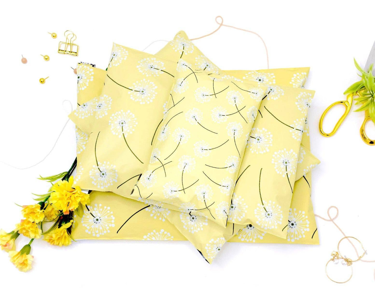 14x17" Dandelion Poly Mailers